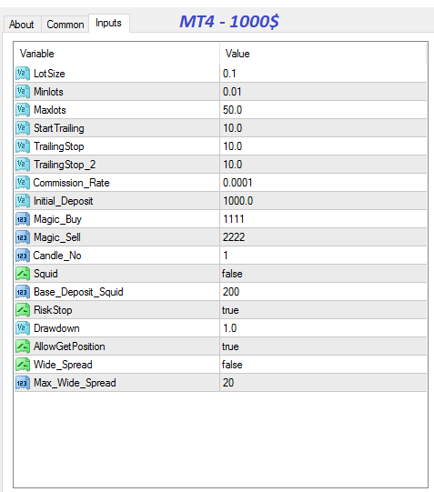 G Z Trader MT4 1000$ G Z Trader MT4 1000$